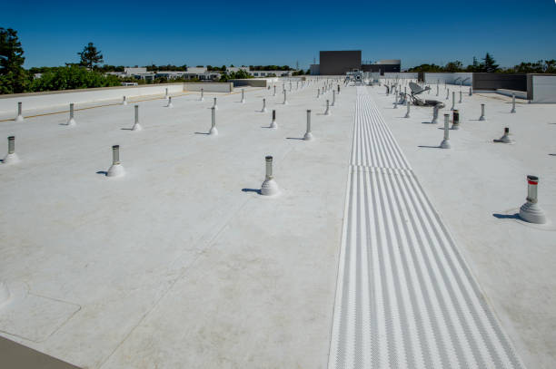 Best Roof Maintenance and Cleaning  in Sedgwick, KS